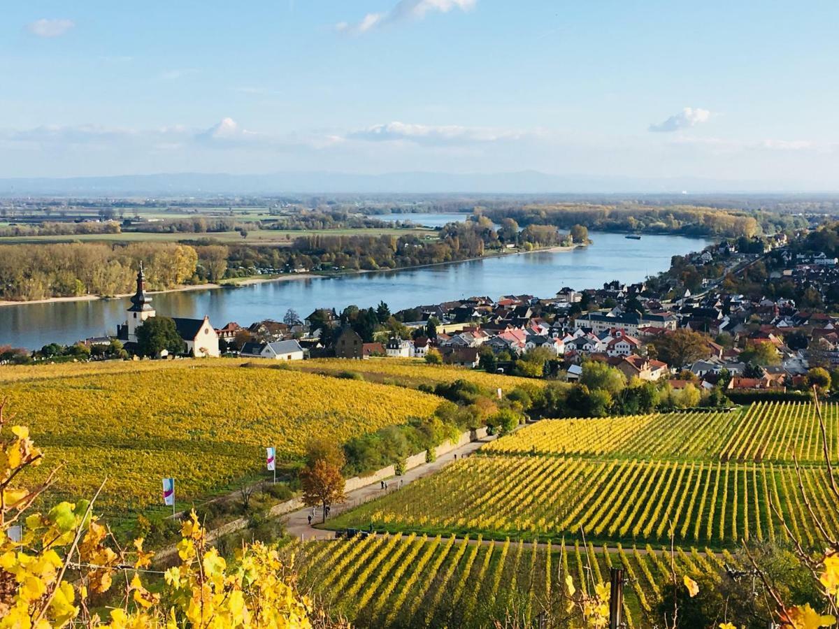 Rhein-Hotel Nierstein Bagian luar foto